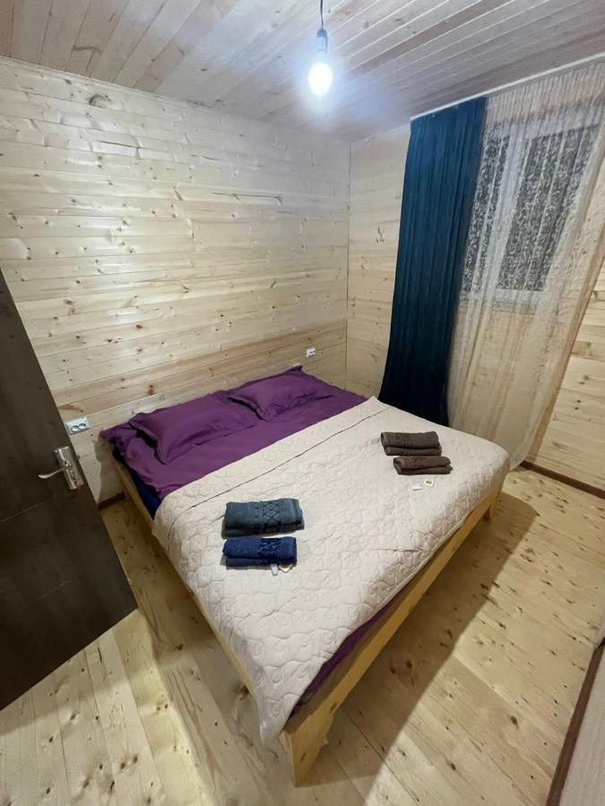 Guest House Caucasioni Adishi Exteriör bild