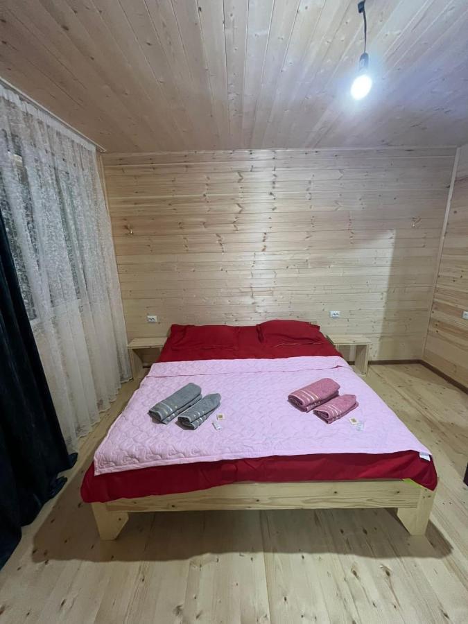 Guest House Caucasioni Adishi Exteriör bild