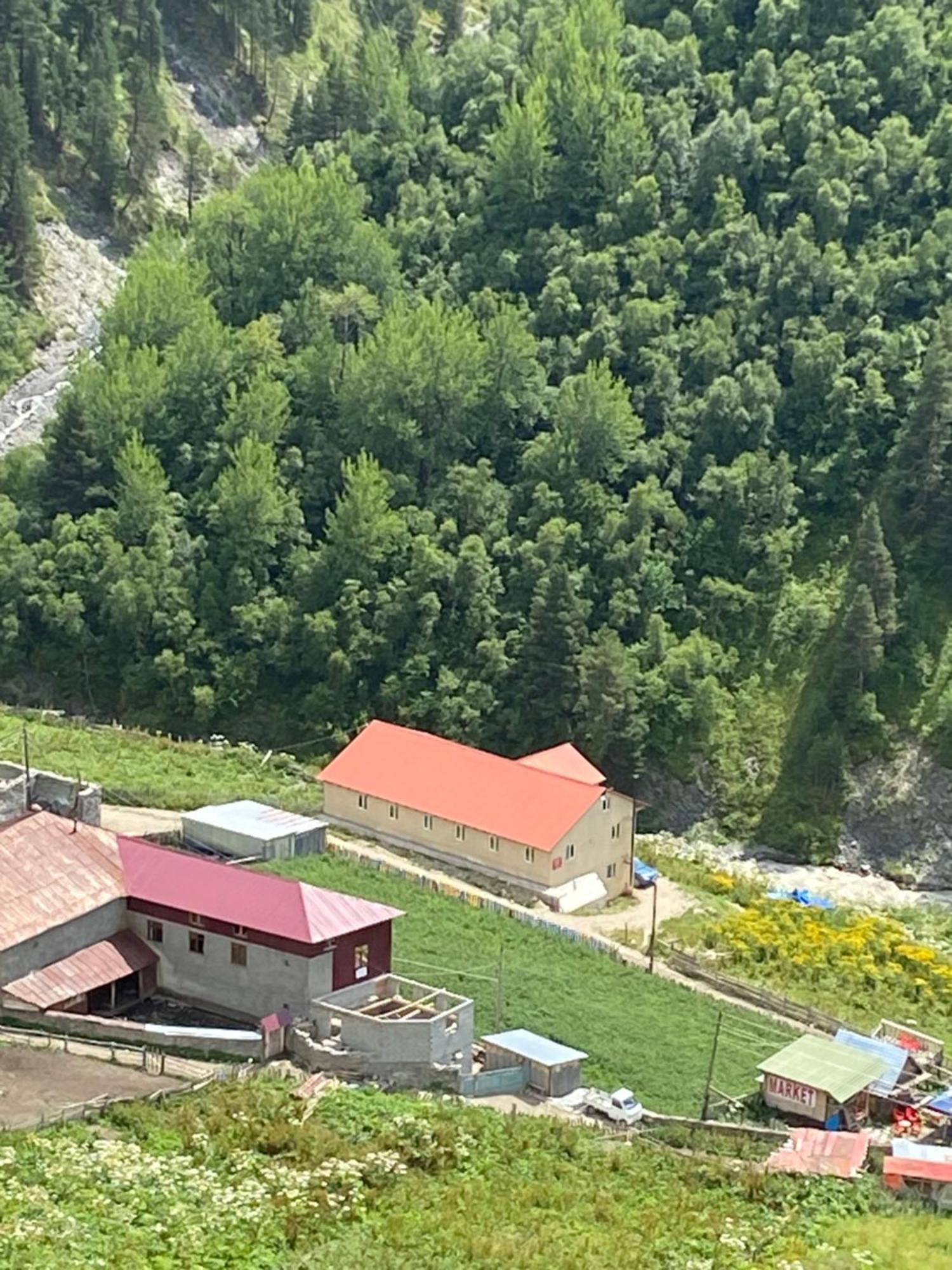 Guest House Caucasioni Adishi Exteriör bild